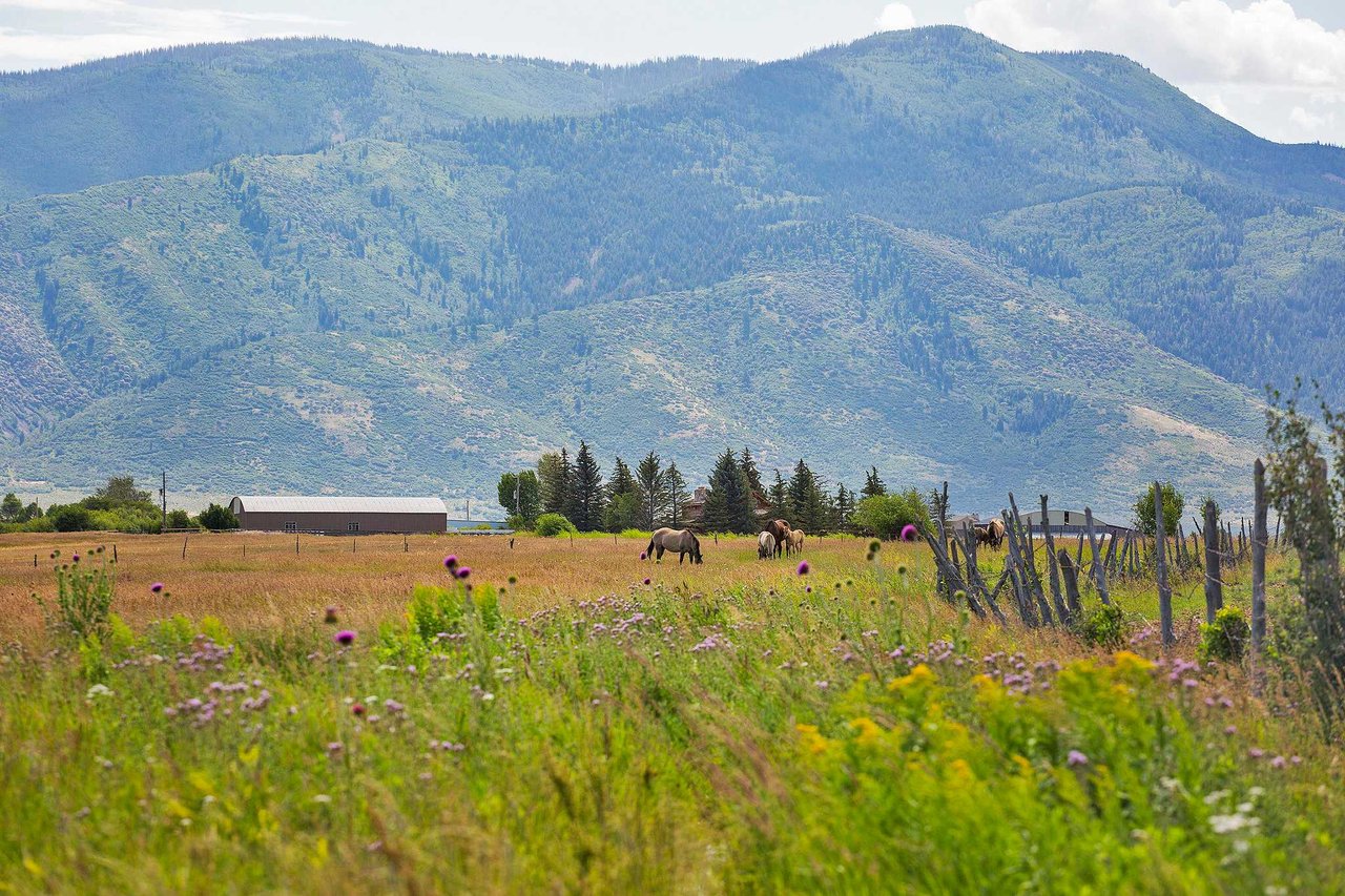 Kamas Valley