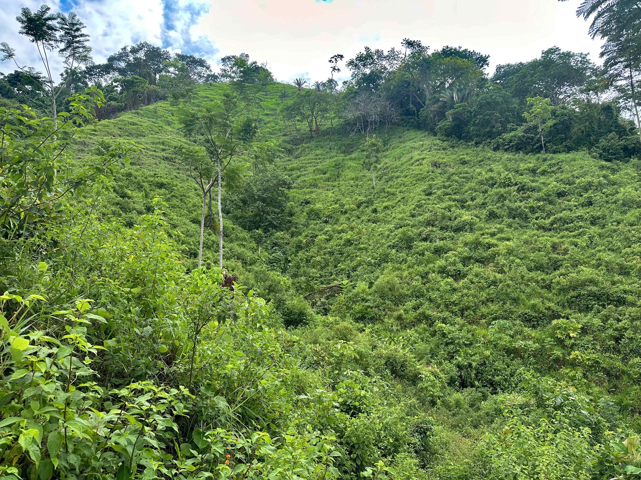 177 acre Ocean view property with multiple plantels, unspoiled mountain, jungle, river and waterfall areas