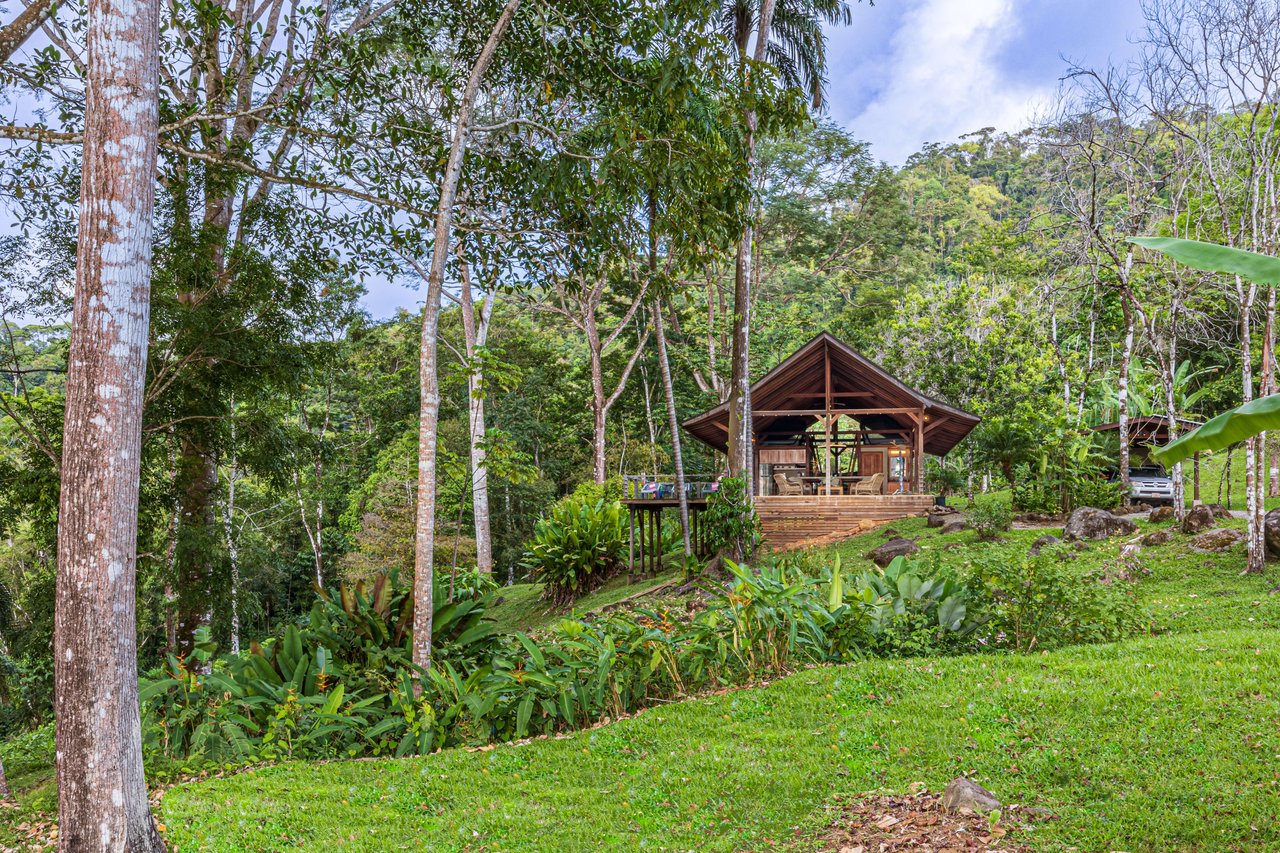 Embrace Harmony in Nature on 12 Acres of Mountain and Ocean view Serenity