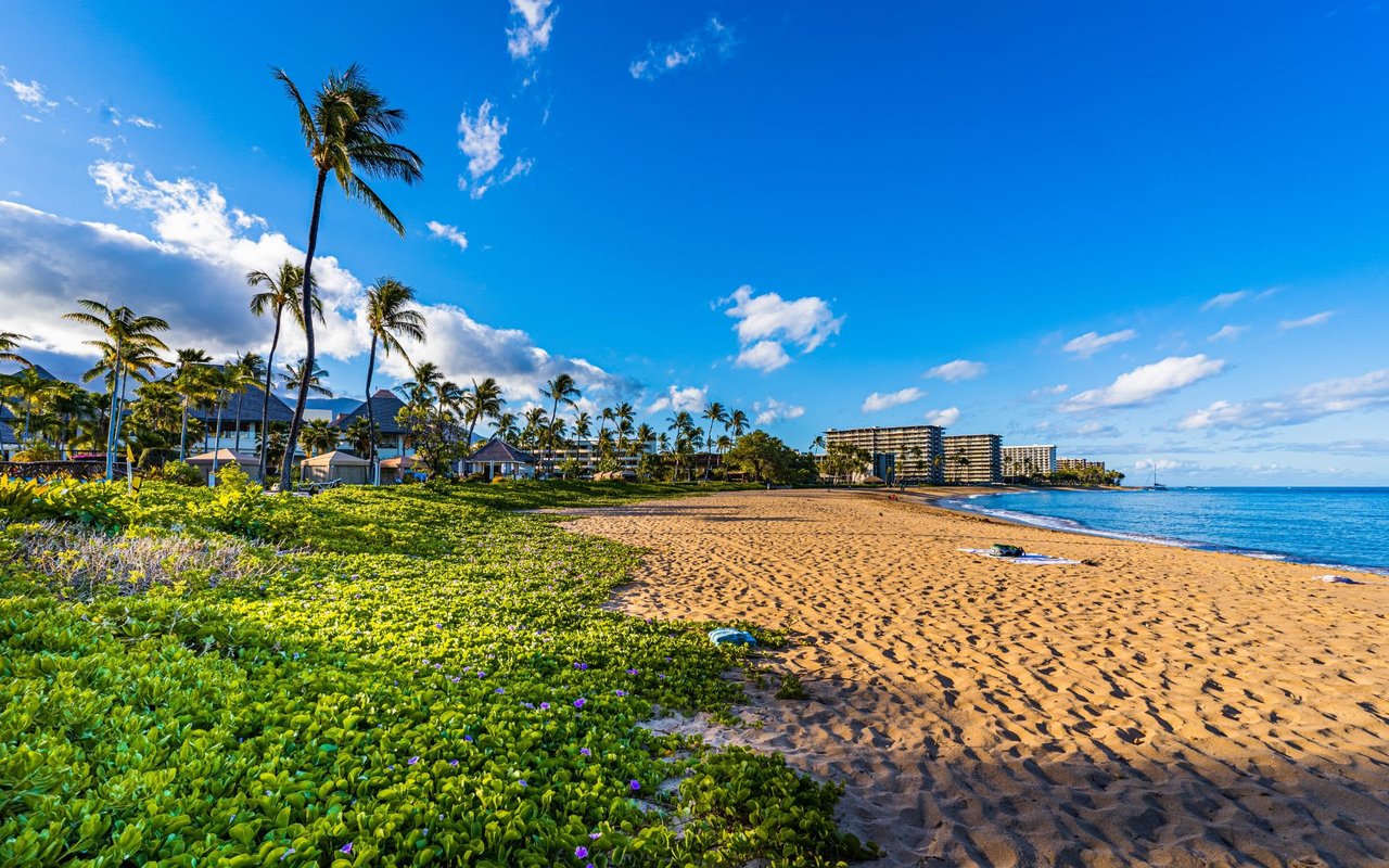 Vacant Land & A Lahaina Town Favorite | Recommended By Me, Not Listed By Me