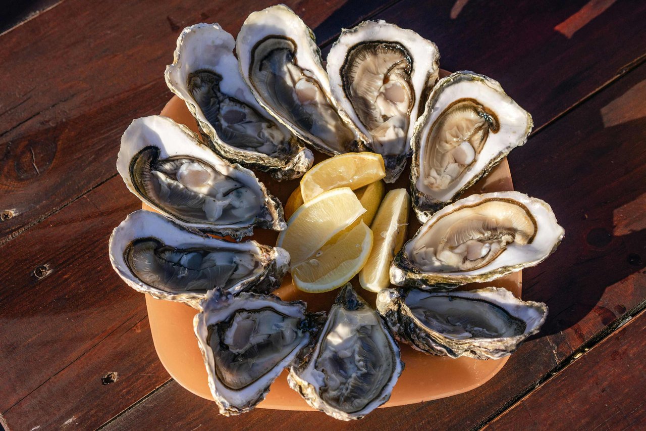 Oyster farming in North Carolina