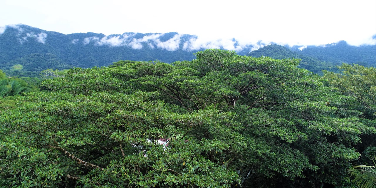 Riverfront Boutique Jungle Hotel, Ojochal, Puntarenas