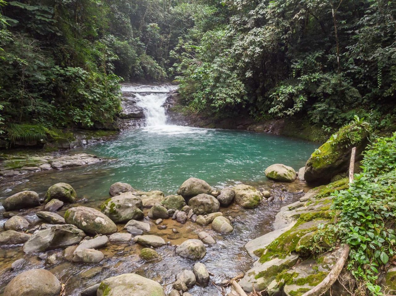 16.5 Acre, First Ridge, Fantastic Ocean Views, Private Swimming Holes