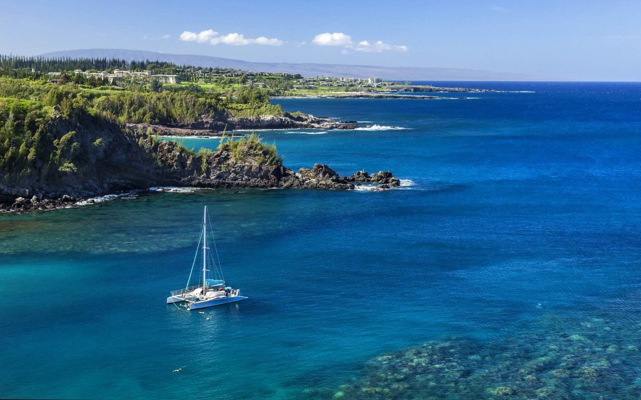 Turtle Bay
