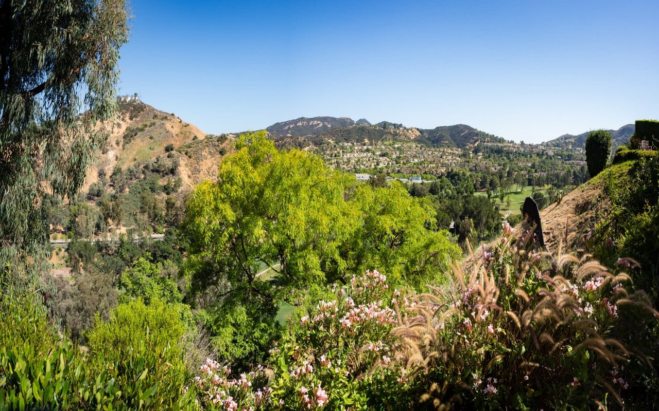 A scenic view of a valley with lush green trees and colorful flowers in full bloom.