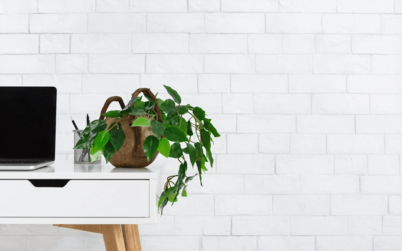 Creating The Office Of Your Dreams