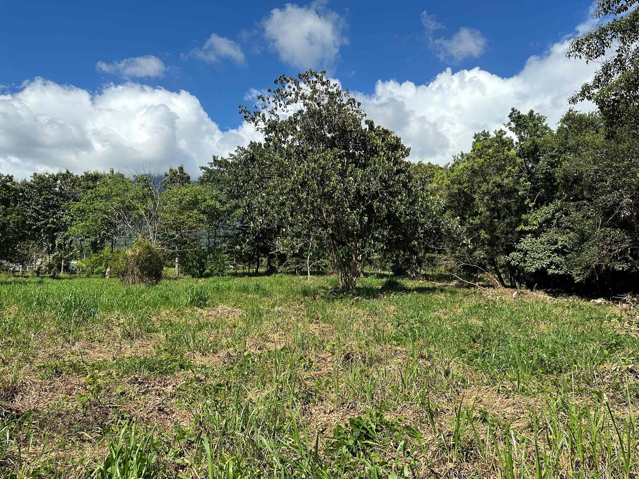 Over 3 Acres, Mountain View Lot in the Heart of Ojochal, Ready for Development!.