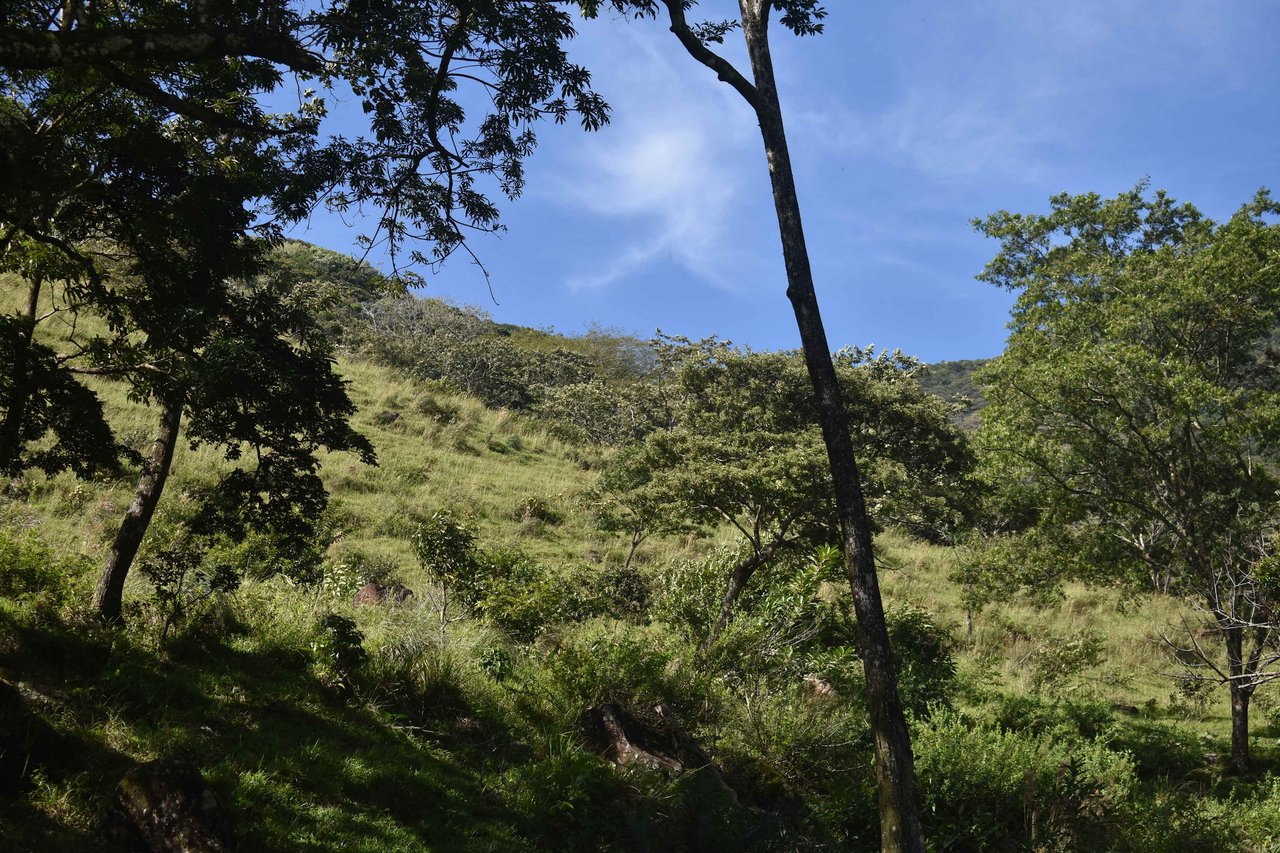 Rio Chiquito Farm | This farm offers an expansive canvas to bring your dreams to life in the majestic Guanacaste mountain rainforest region.