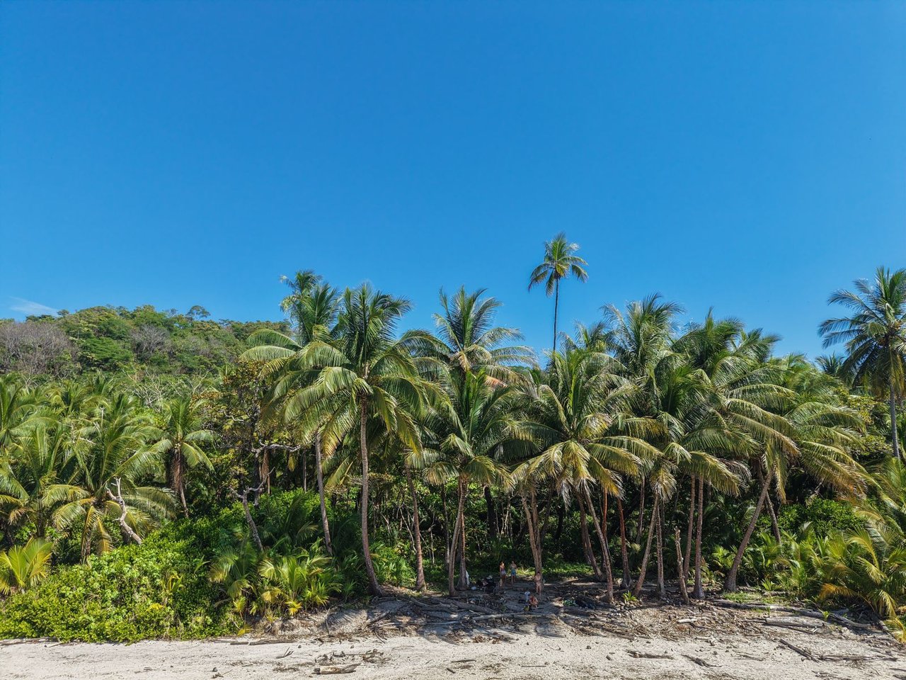 Premier Beachfront Concession Lot, Santa Teresa, Puntarenas