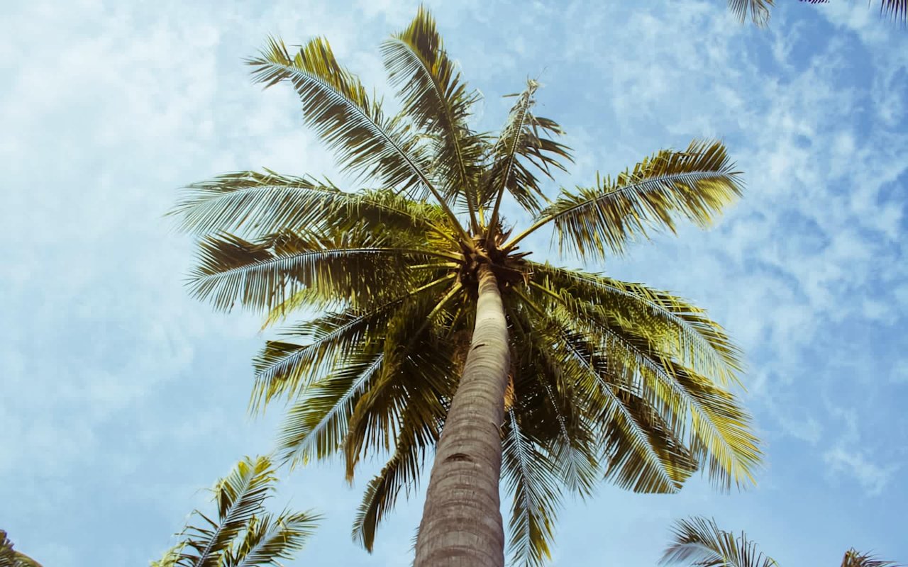 What is the Real Cost of Living in Virgin Gorda?