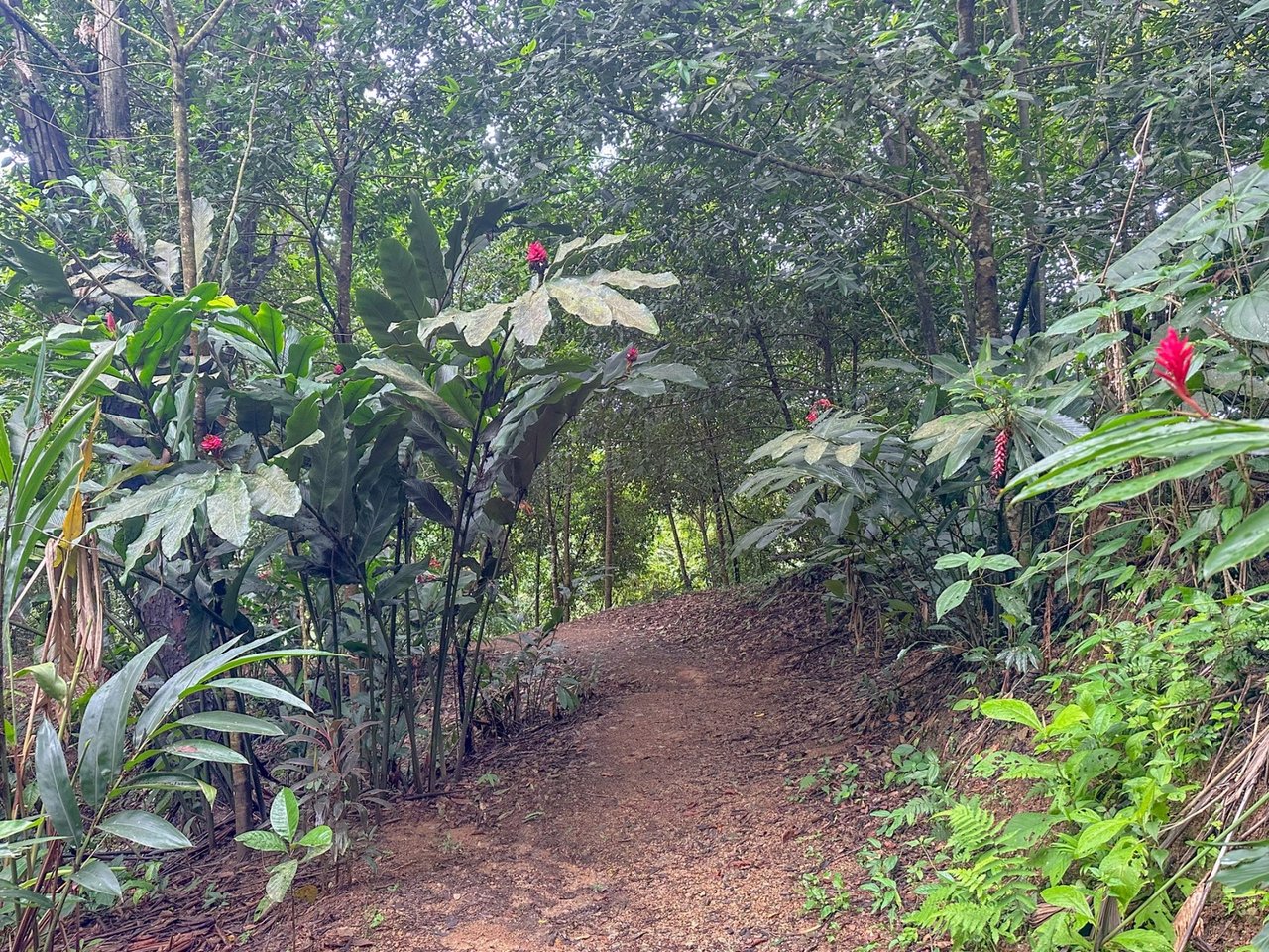Waterfall Eco Resort Land, Dominical, Puntarenas