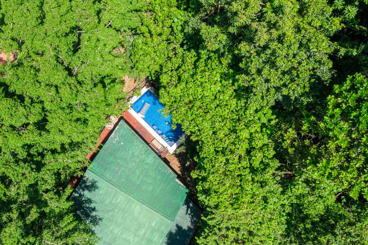 Artistic river home in the rainforest