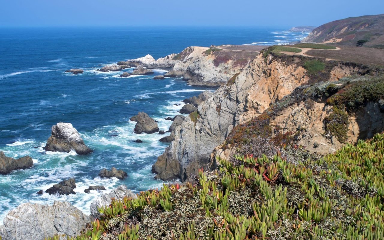 Why People Love Living in Bodega Bay