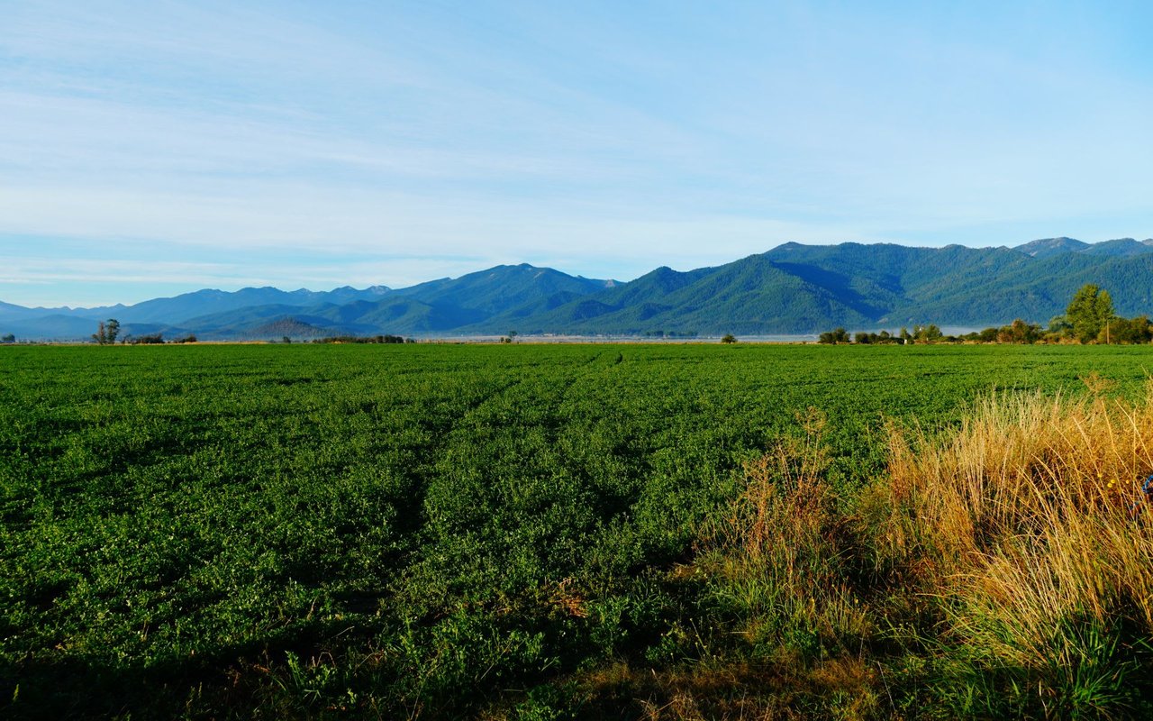 Scotts Valley