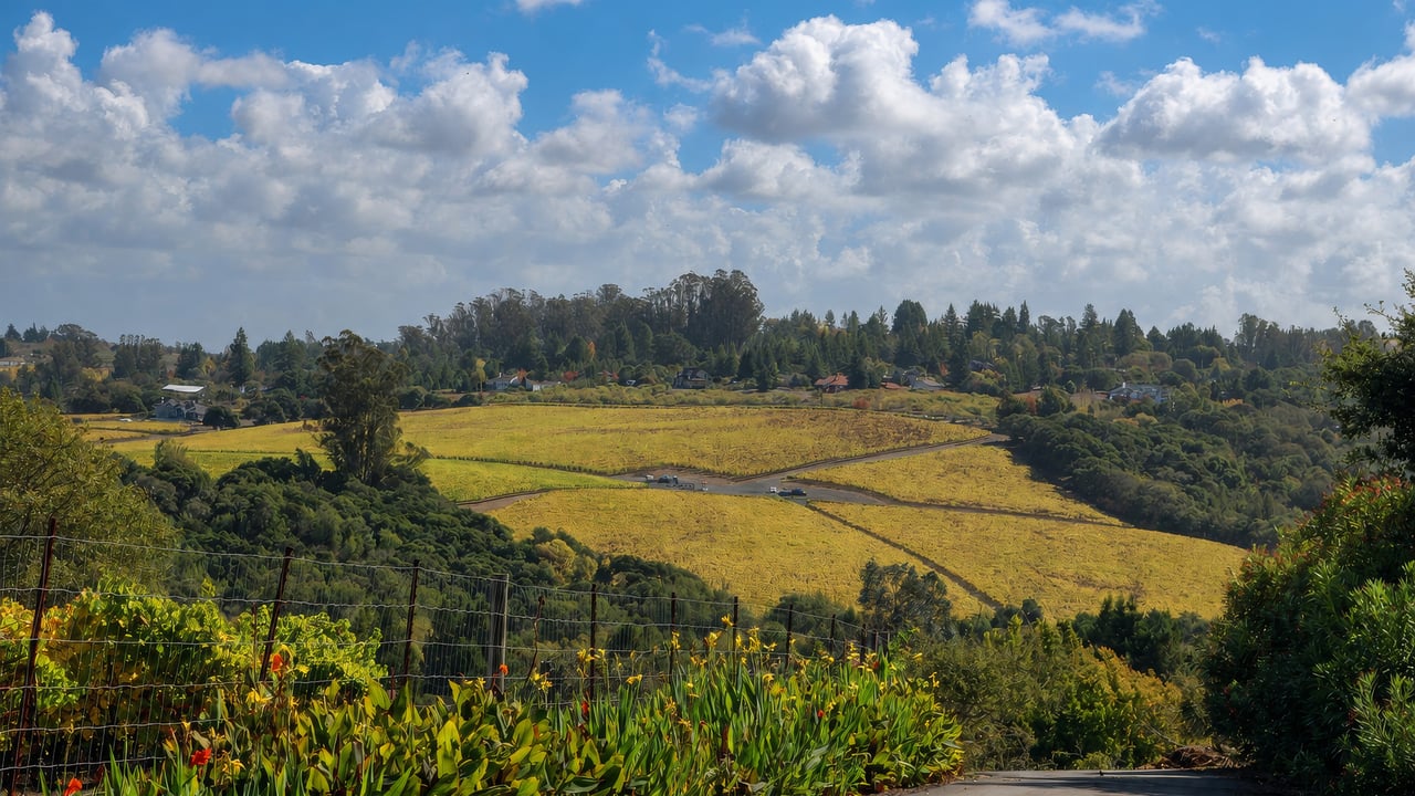 Sebastopol