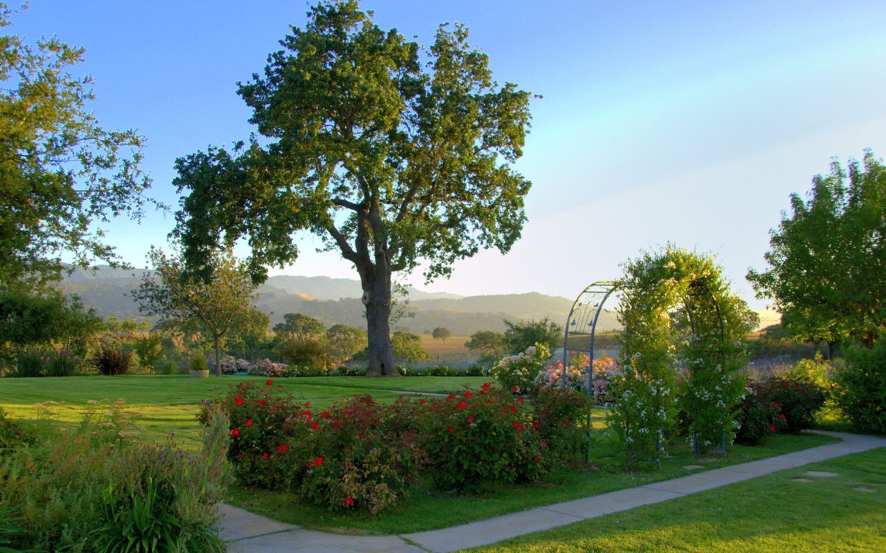 Santa Ynez