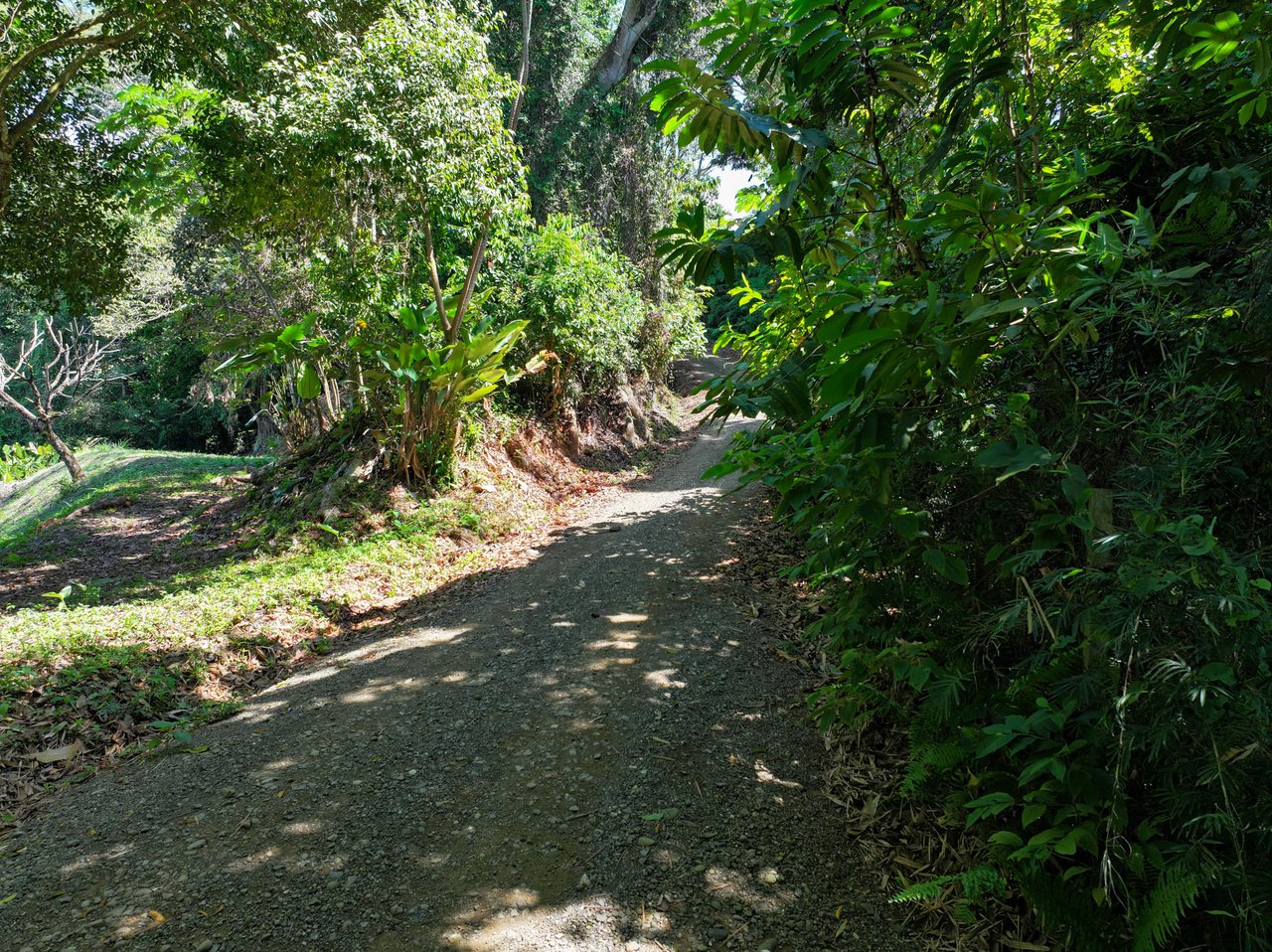 Unveil Paradise: Your Dream Homesite Awaits in Dominical, Costa Rica