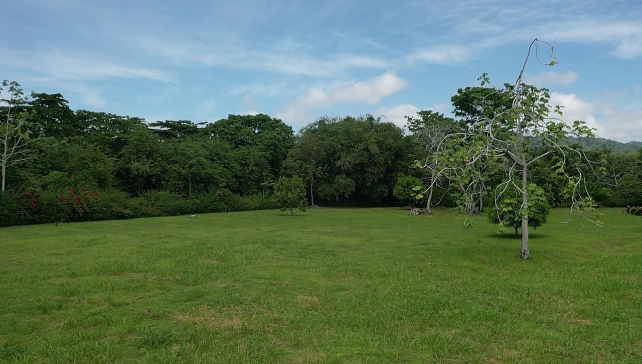Titled Beachfront Development Land, Osa, Puntarenas
