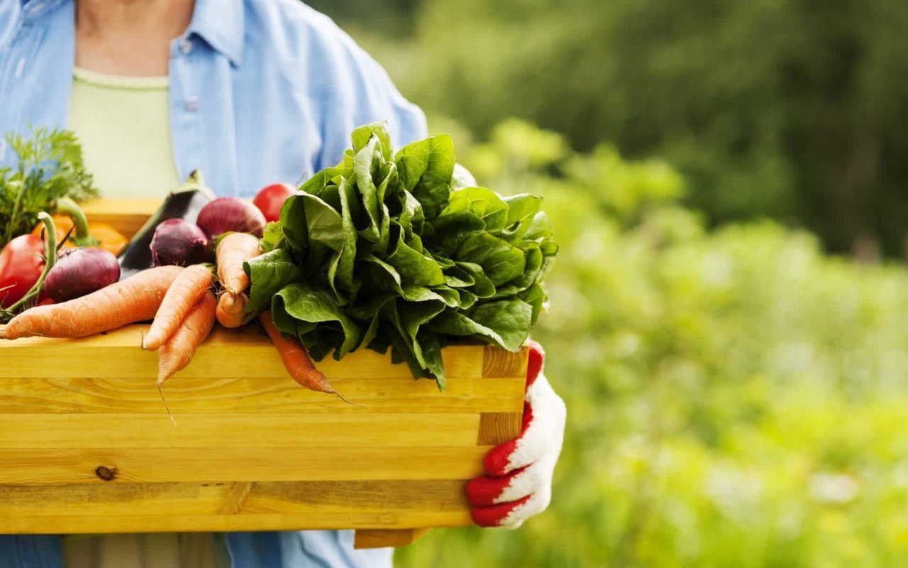 Ever Heard of a Victory Garden? Here’s Your Chance to Create One.