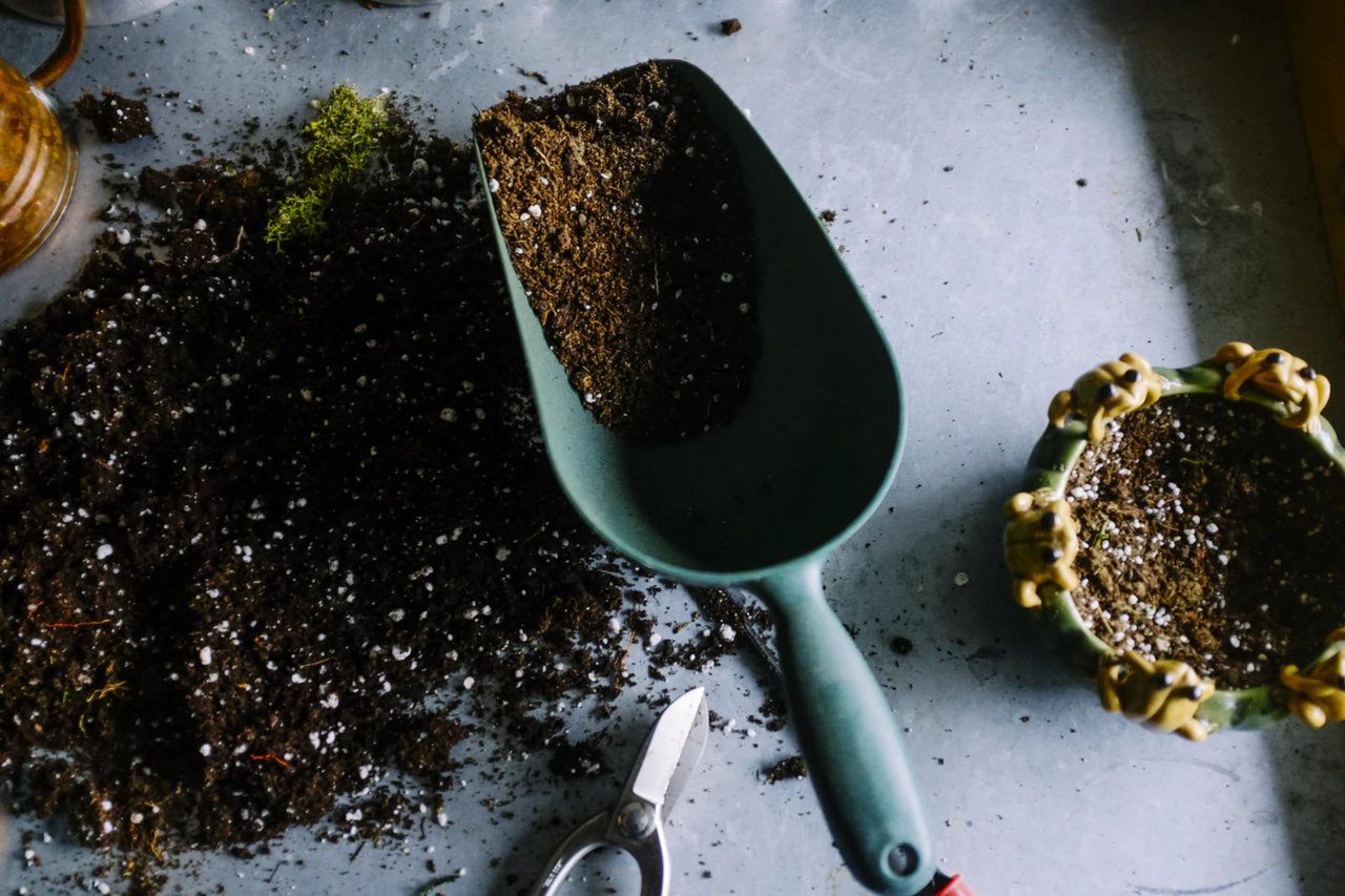 DIY Garden in the Catskills