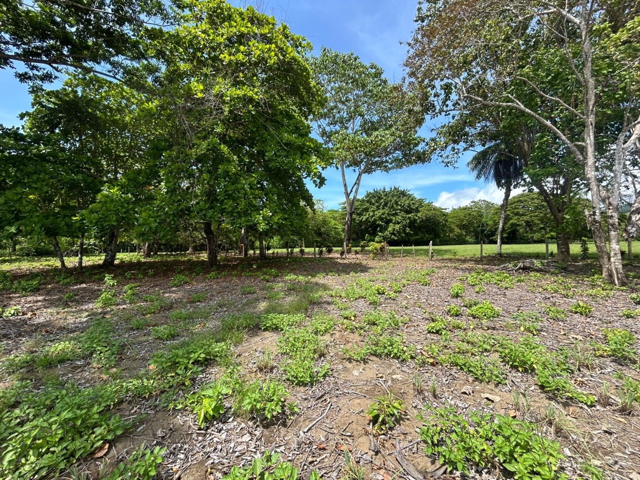 Titled Beachfront Development Land, Osa, Puntarenas