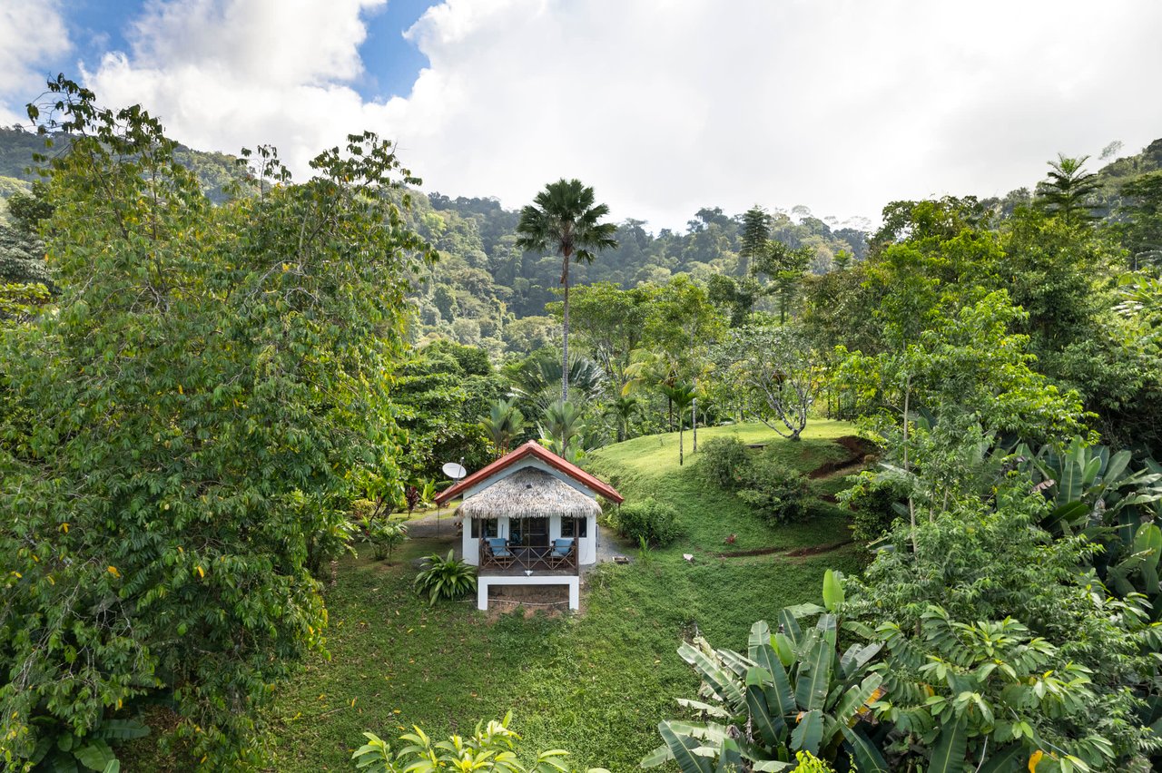 Cozy Sunset Ocean-View Bungalow On 3.5 Acres Of Jungle With Creeks, & Abundant Wildlife In Tres Rios Costa Rica