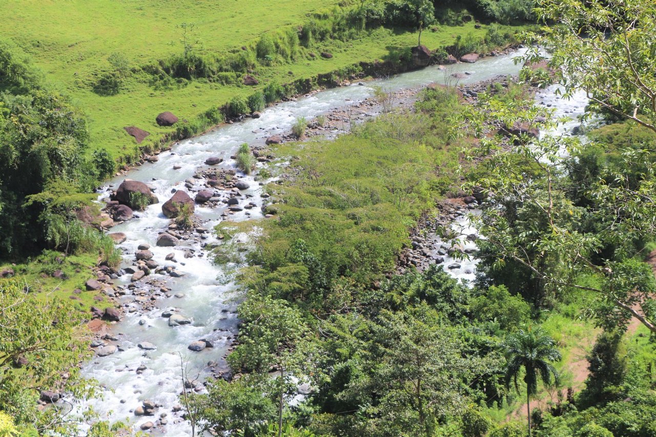 Riverfront Forest Farm, Perez Zeledon, San Jose