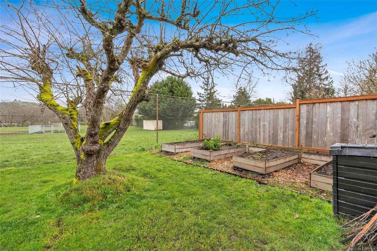 3411 Cedar Hill Rd, Saanich