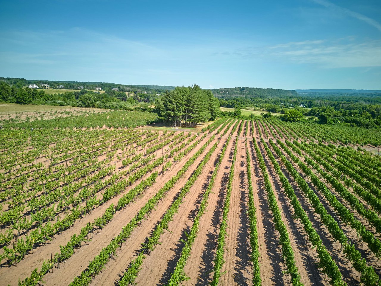 Sand Castle Winery | Bucks County, PA | $4,500,000