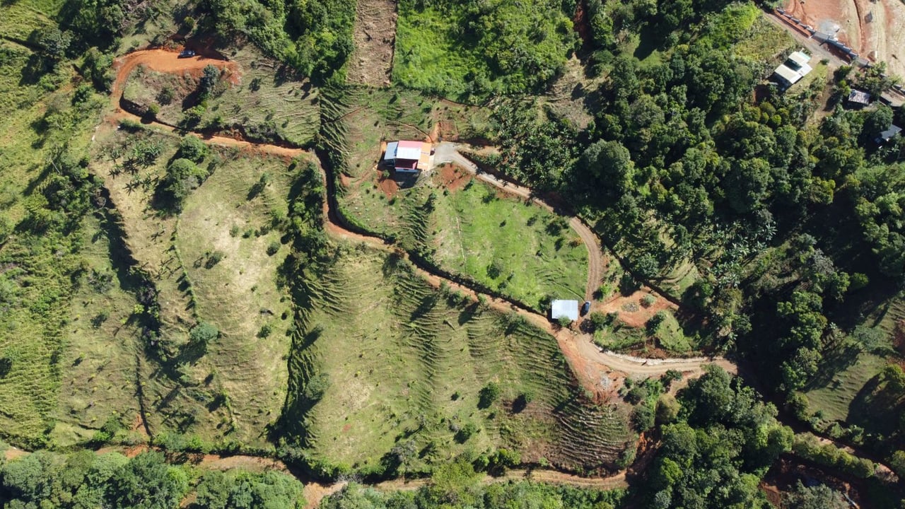 Sustainable Organic Farmstead, Perez Zeledon, San Jose