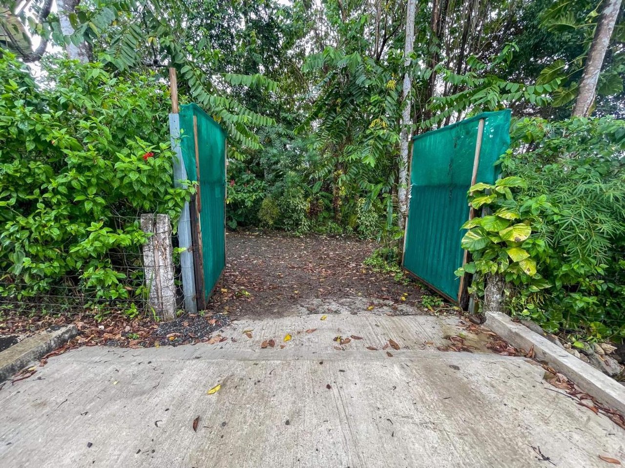 Tropical Orchard Estate, Ojochal, Puntarenas