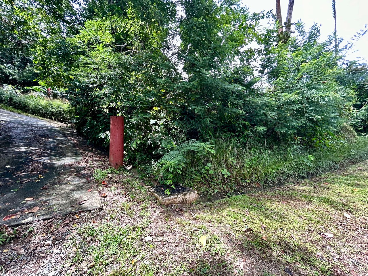 Secret Paradise Property in Altos de la Colonia