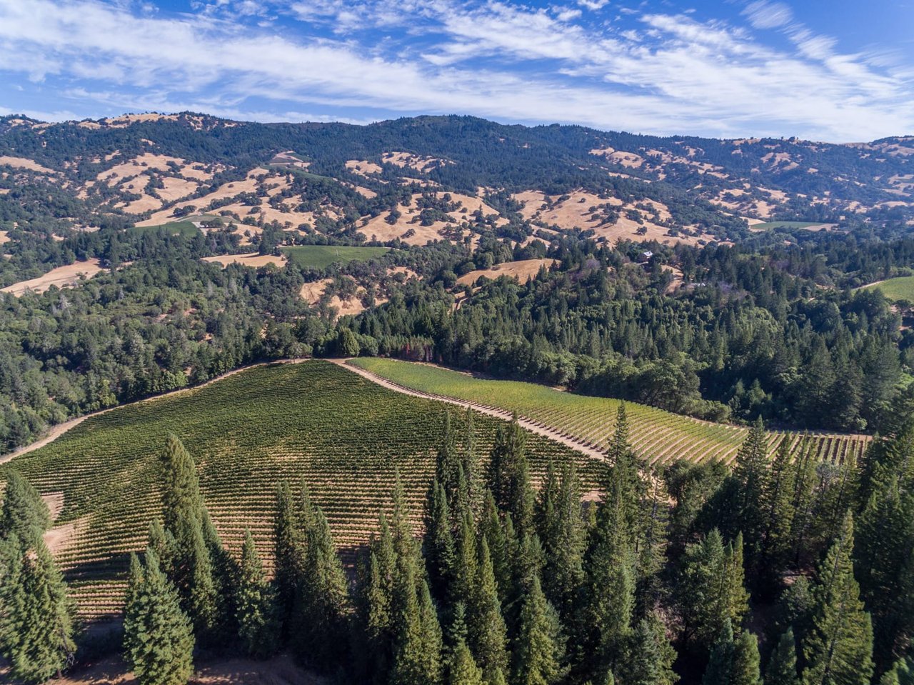 Yorkville Highlands Hillside Vineyard