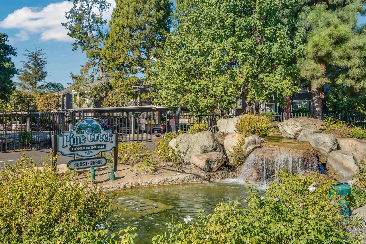 25625 Pine Creek Lane