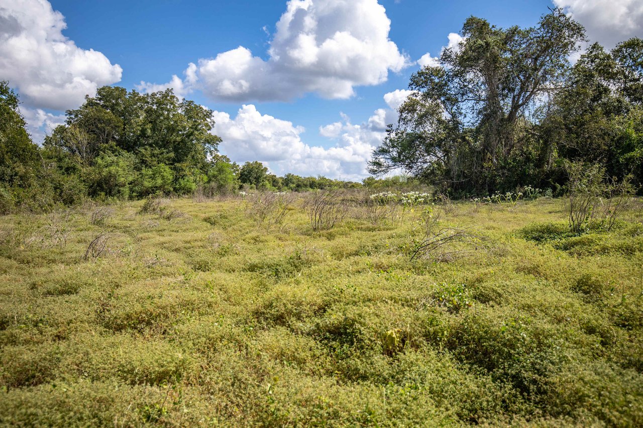 Lovers Lane River Ranch | 140± Acres | DeWitt County