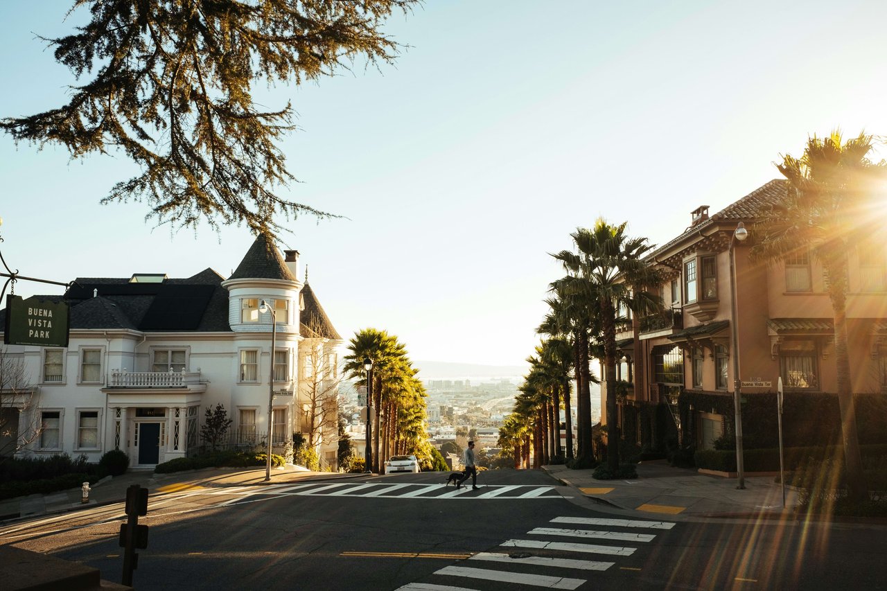 Street-level view of Buena Vista Park in San Francisco, California, showcasing lush greenery, mature trees, and the natural landscape along the park’s edge.