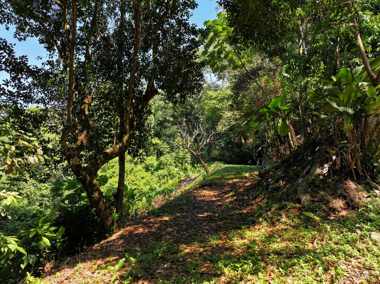 Unveil Paradise: Your Dream Homesite Awaits in Dominical, Costa Rica