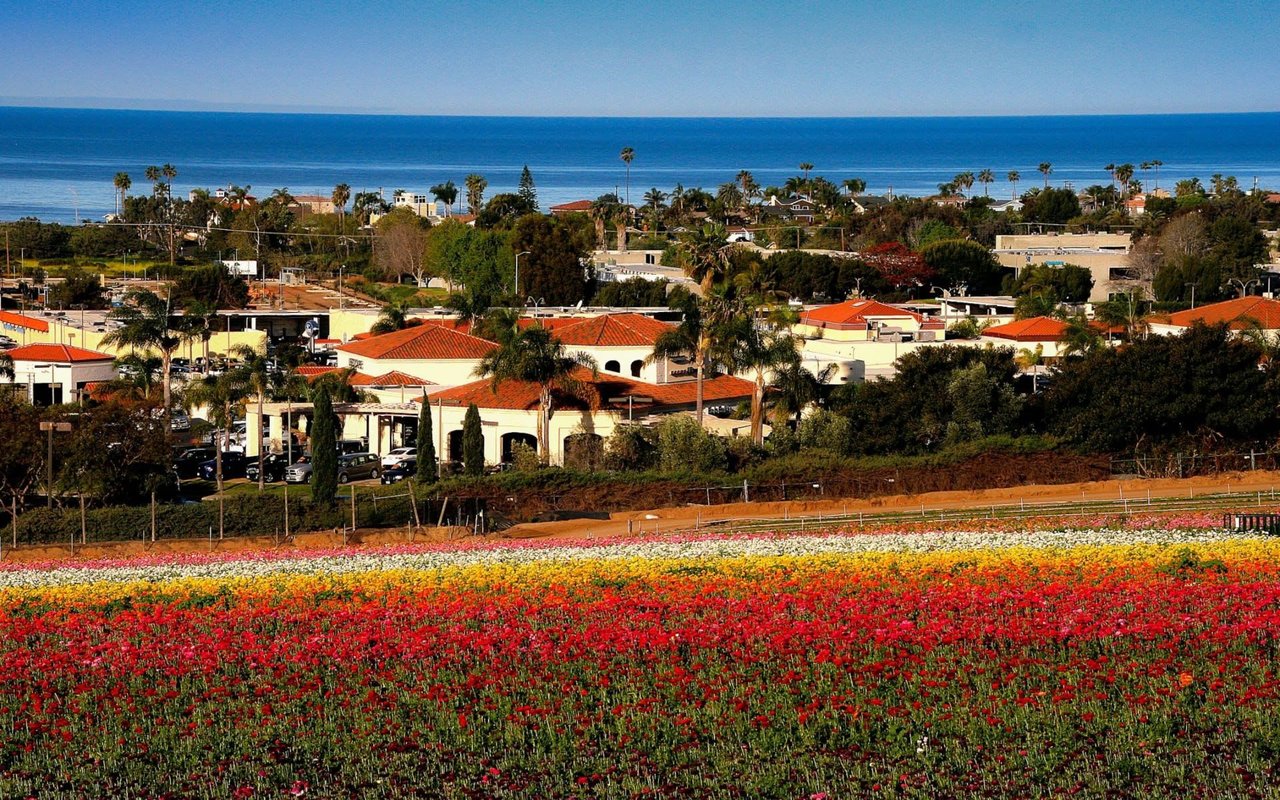 Honest Pros and Cons of Living in Carlsbad