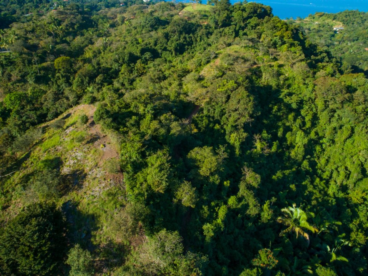Ocean View Development Parcel, Manuel Antonio, Puntarenas