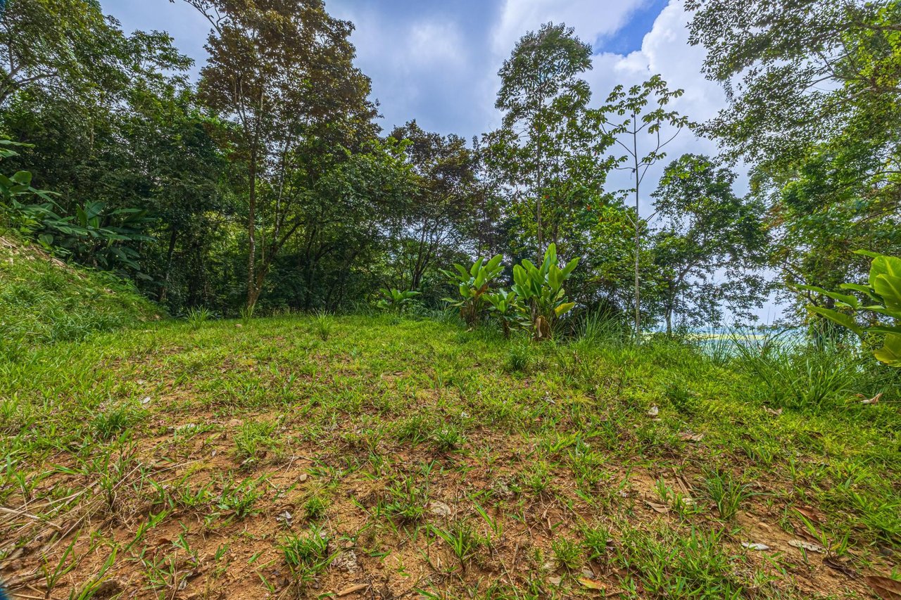 Premier Ocean View Development Land, Manuel Antonio, Puntarenas