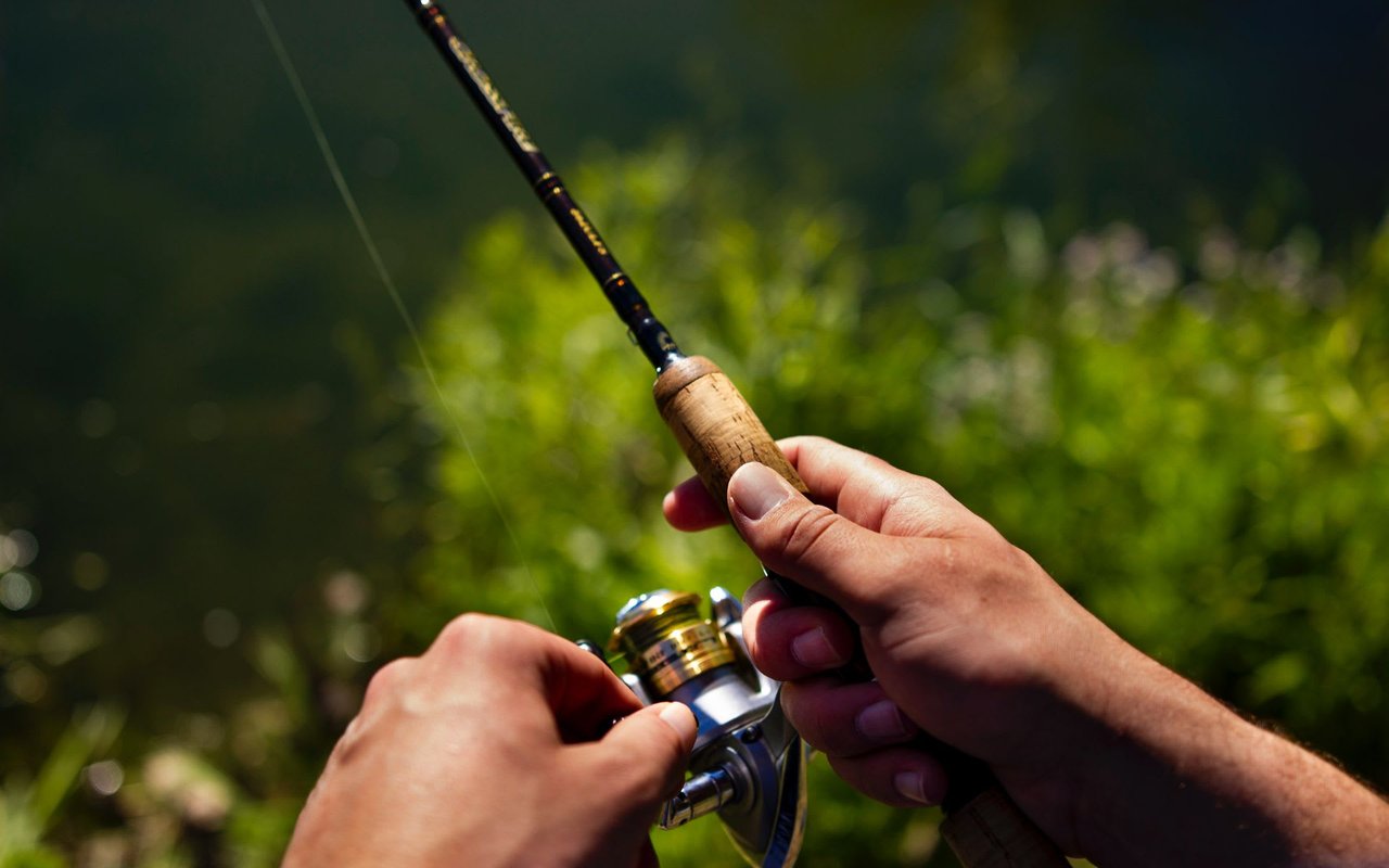 North Carolina Pond Management Tips for Bigger Fish and More Fishing Fun