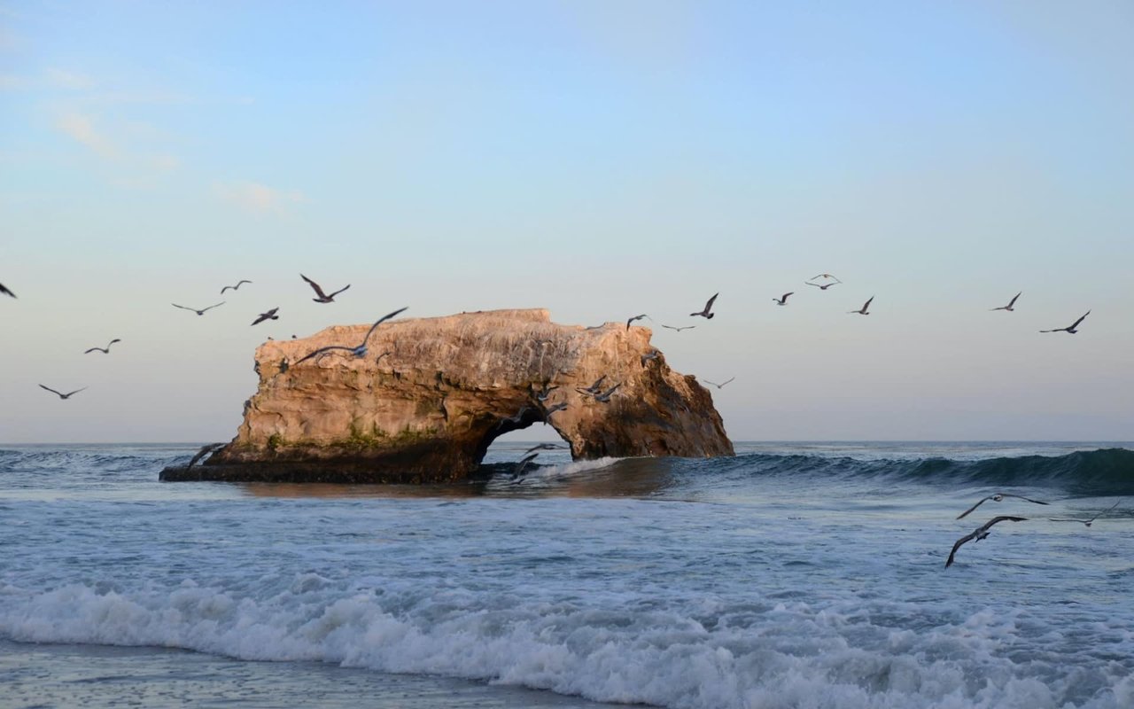 Best Outdoor Activities In and Around Santa Cruz