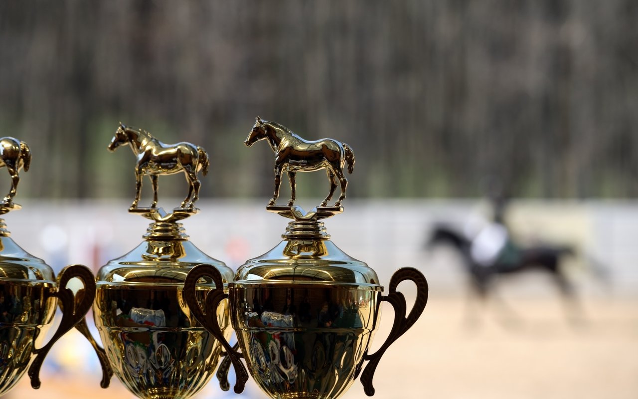 Where Sport and Society Celebrate: Greenwich Polo Club