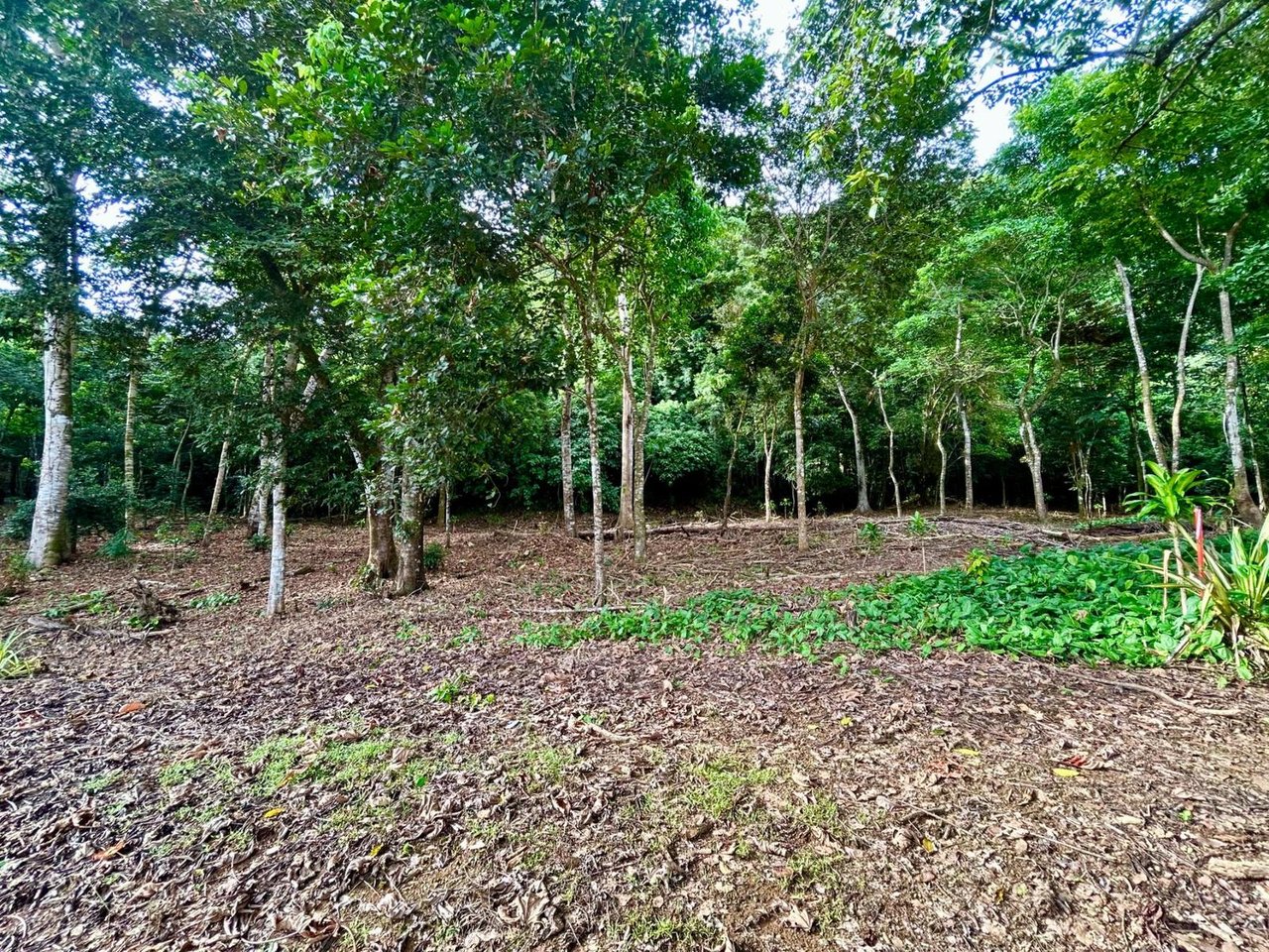 Flat Commercial Development Lot, Osa, Puntarenas