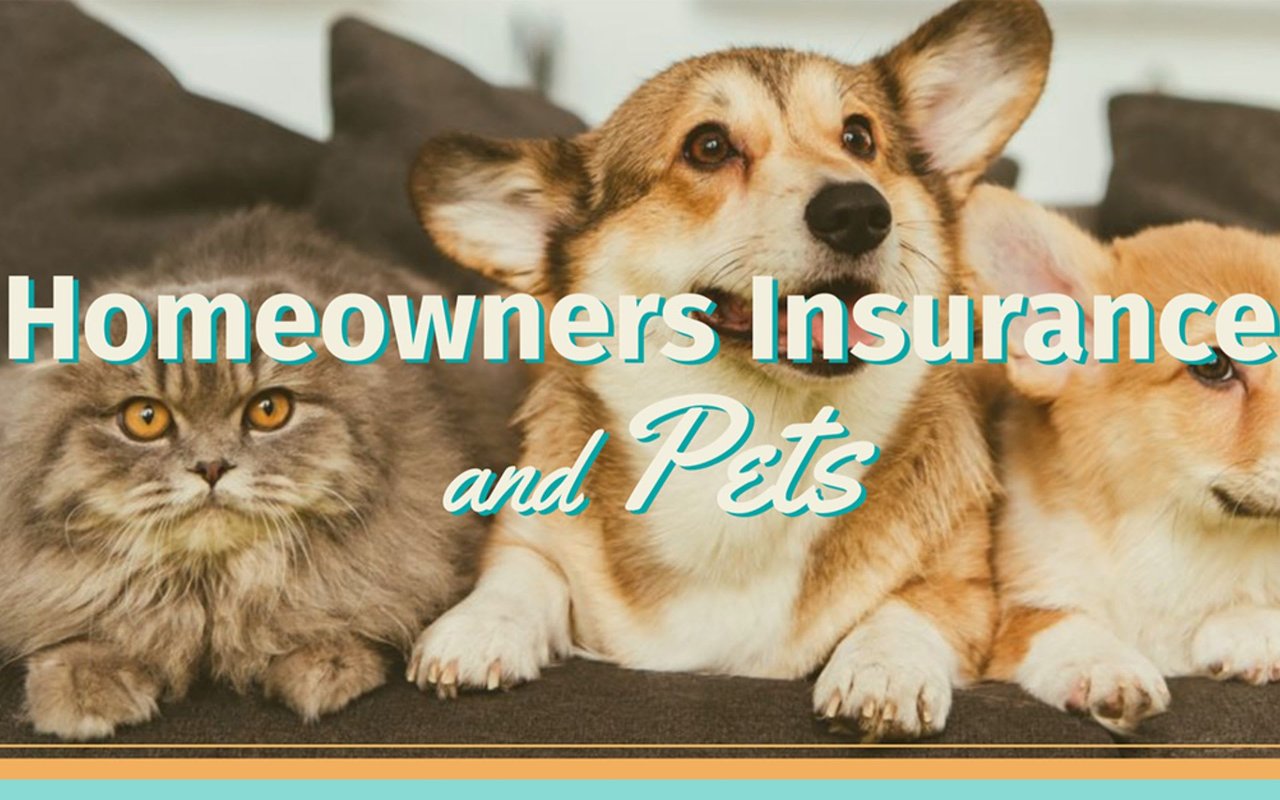 Homeowners Insurance and Pets