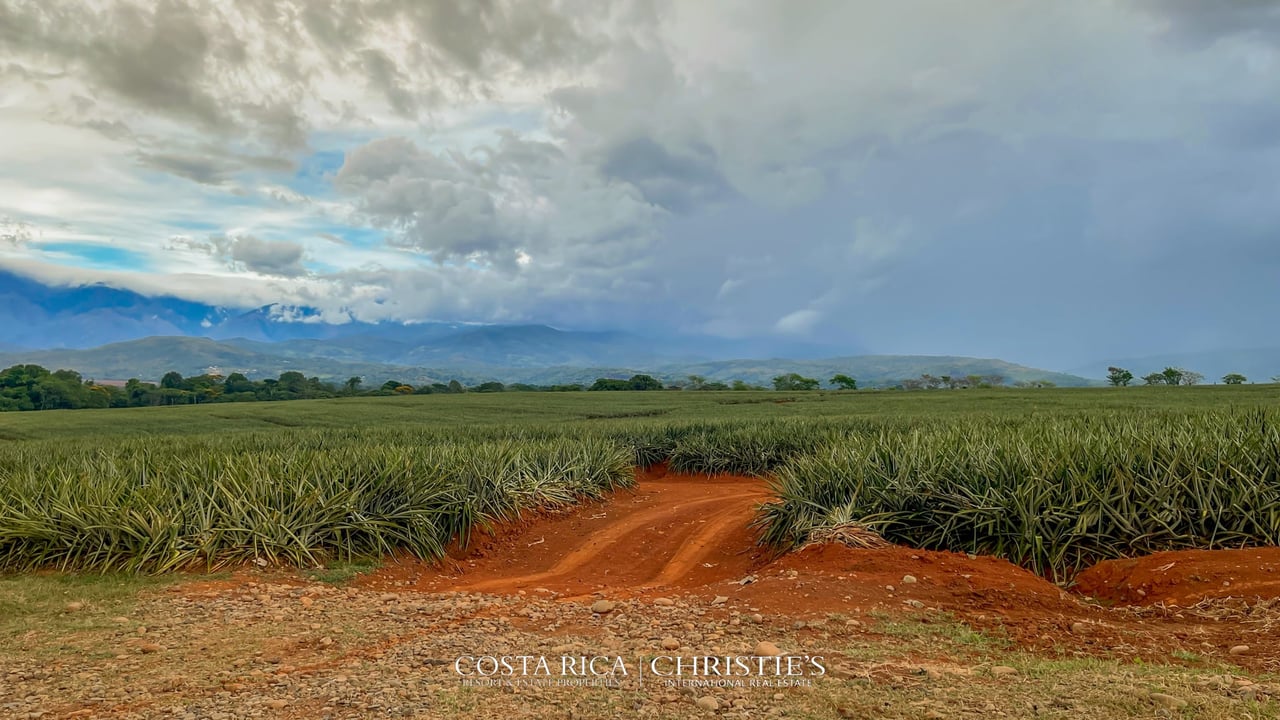 Finca Buenos Aires