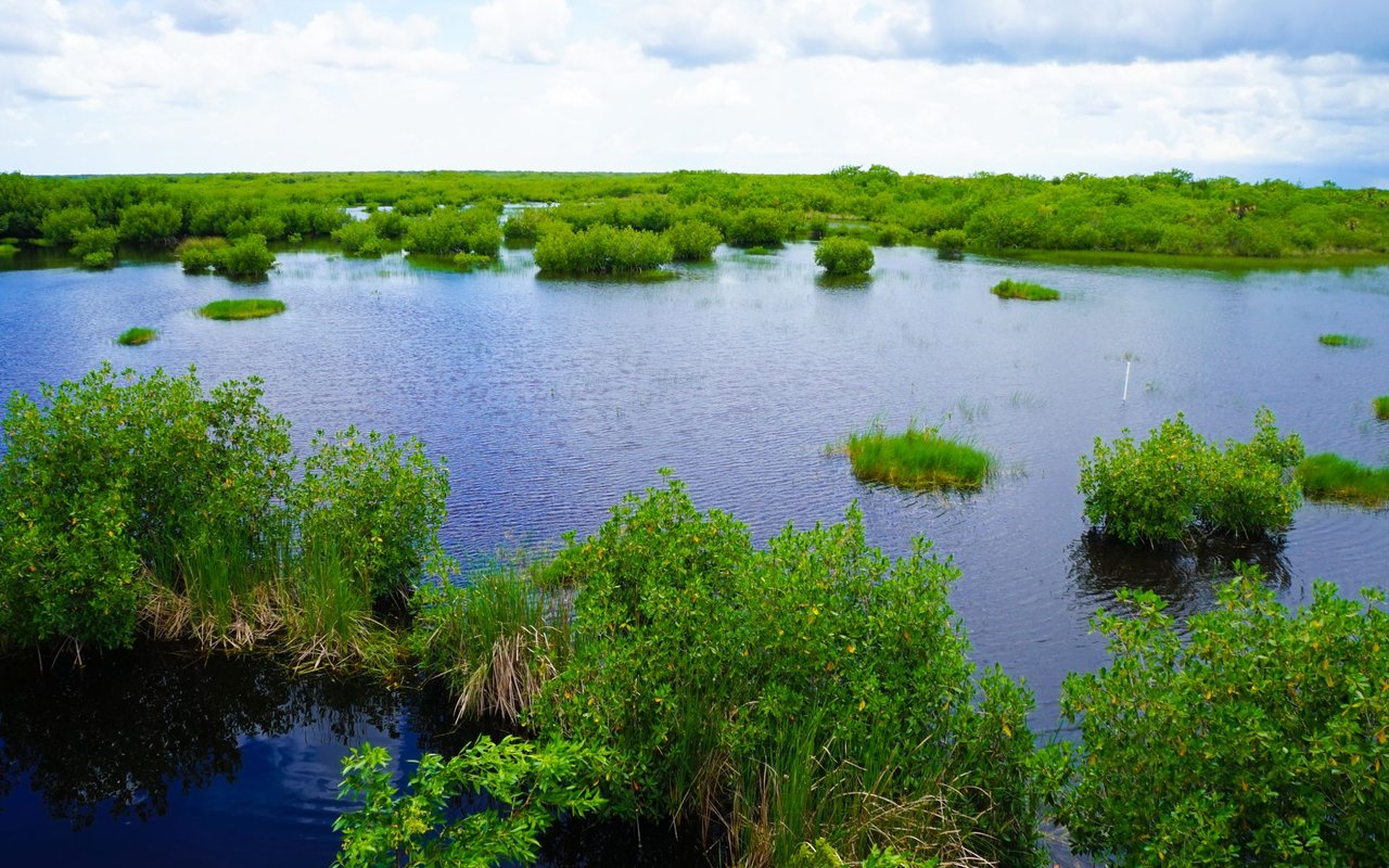 Bought in July, Everglades Island house back on market