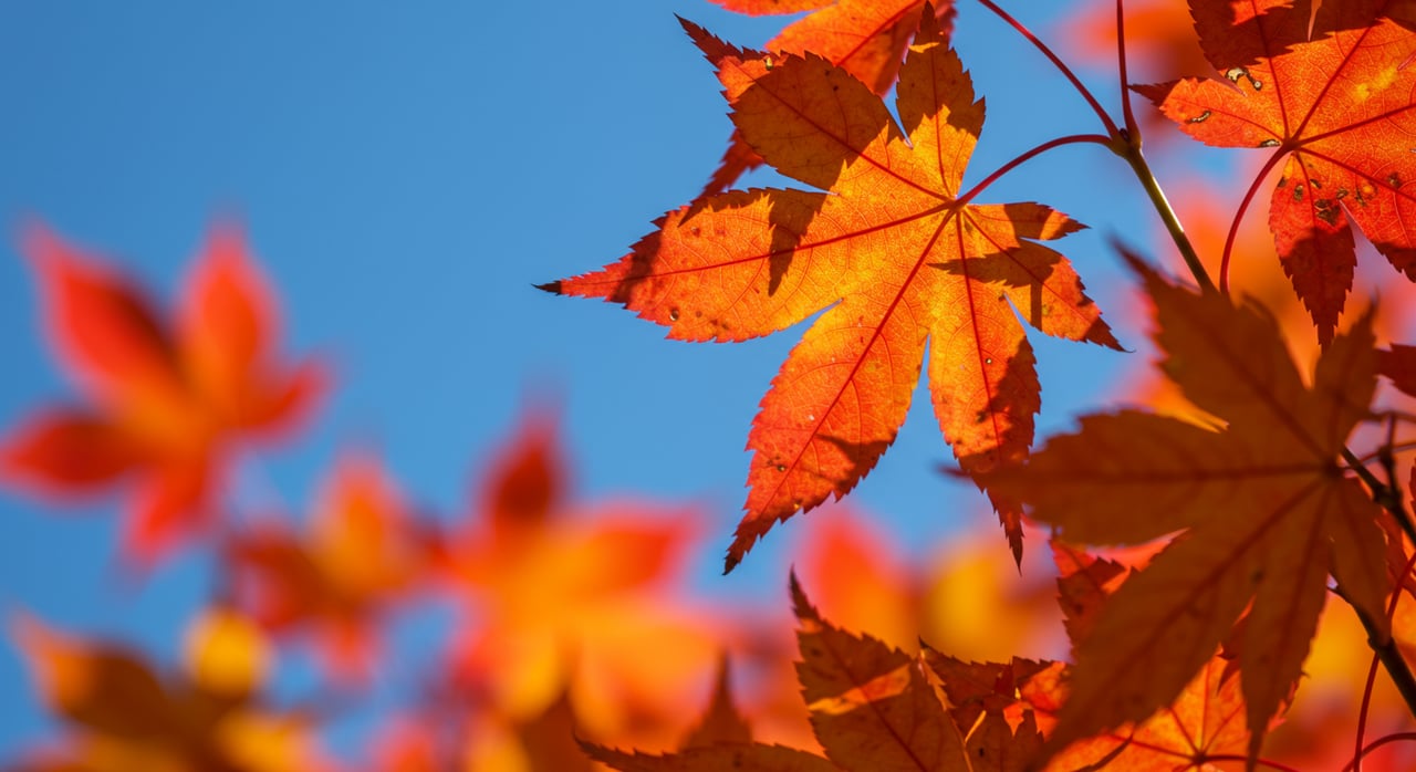 10 Ways to Make Your Fall Open House Extra-Cozy