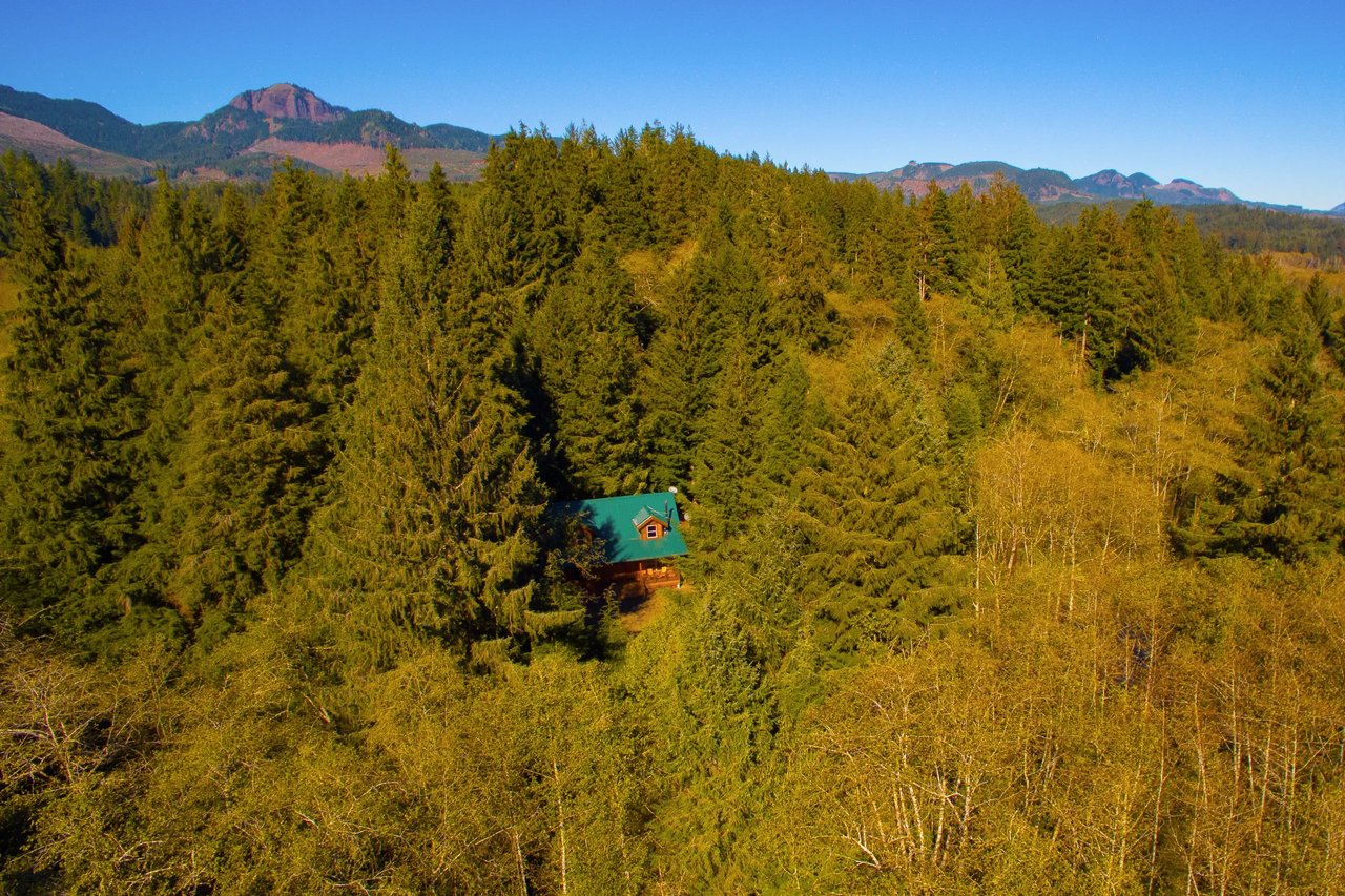 Nehalem Home in the woods with Onion Peek in the background