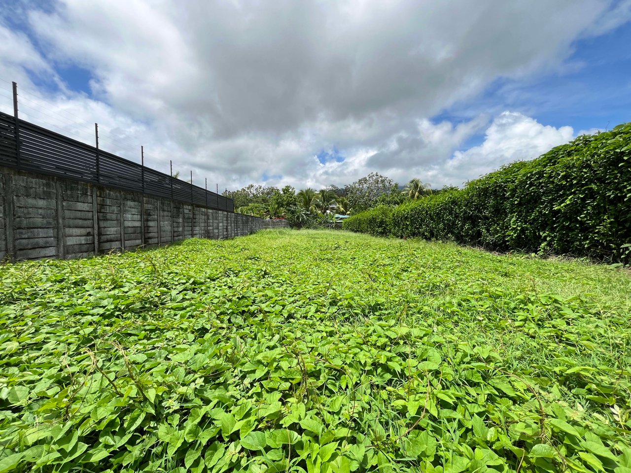 Great Lot Ready to Build, Uvita Whale Tail.